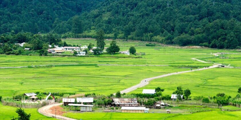 Ziro Valley