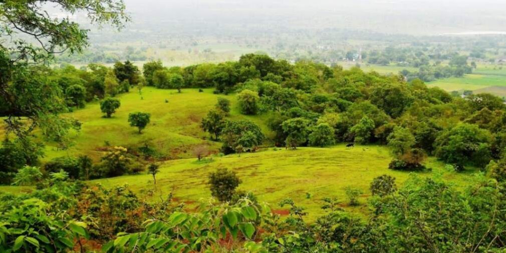 Ananthagiri Hill